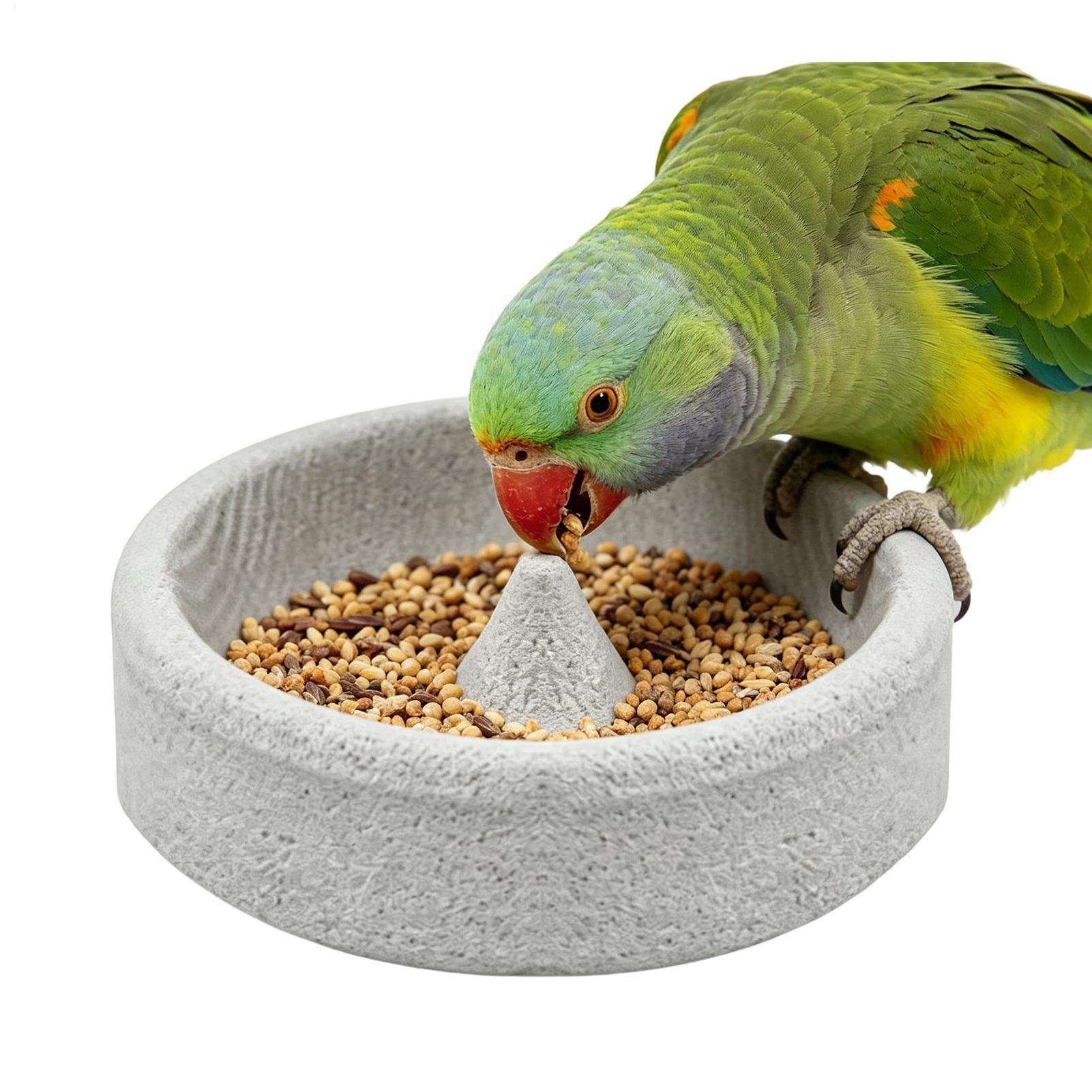 Pumice Stone Bird Feeders for  - Stones Watches & Jewelry In Sweden Ab 评论和价格